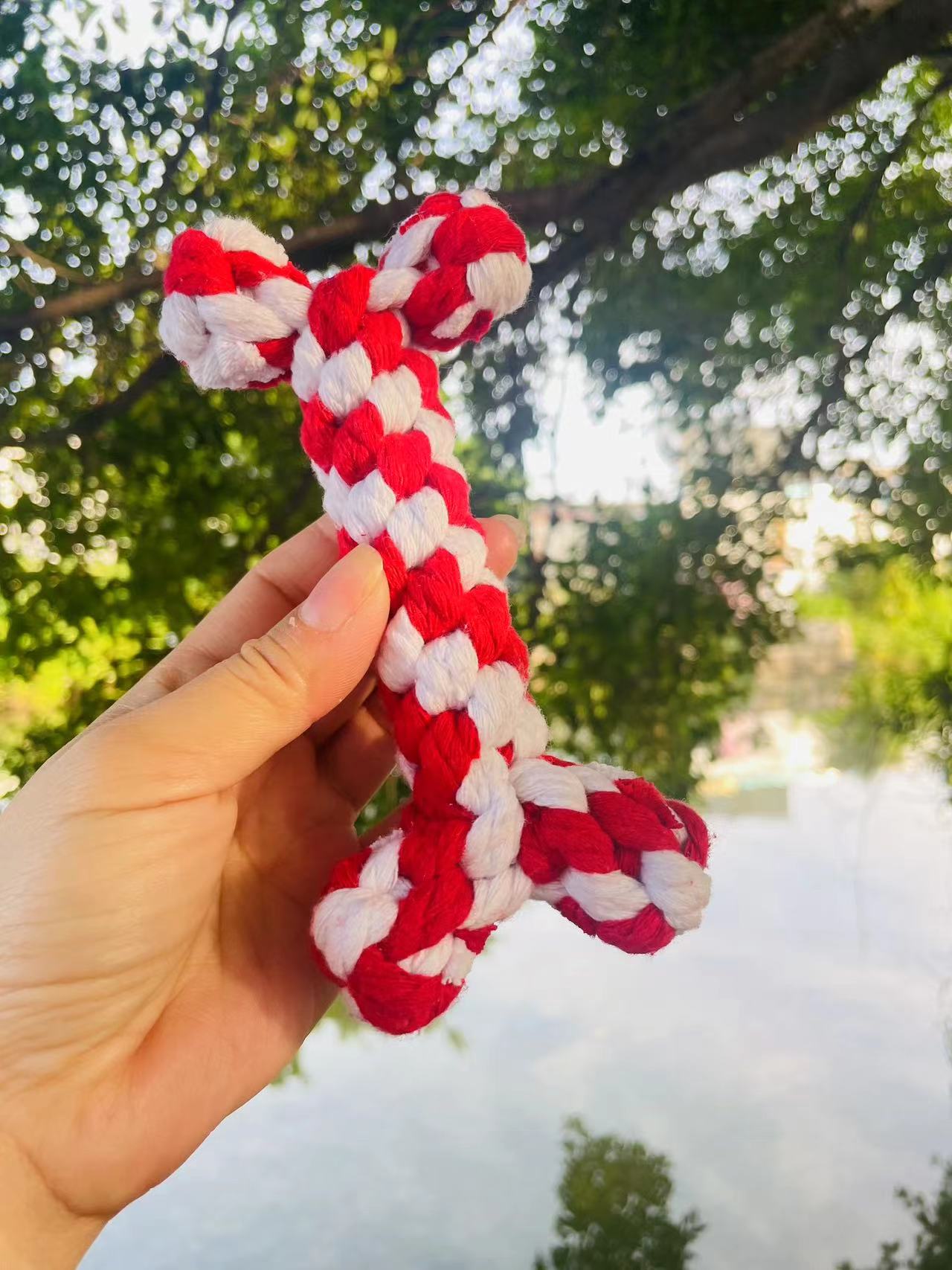 Christmas: Red Dog Bone RopeToy | Eco-friendly Dog Toy