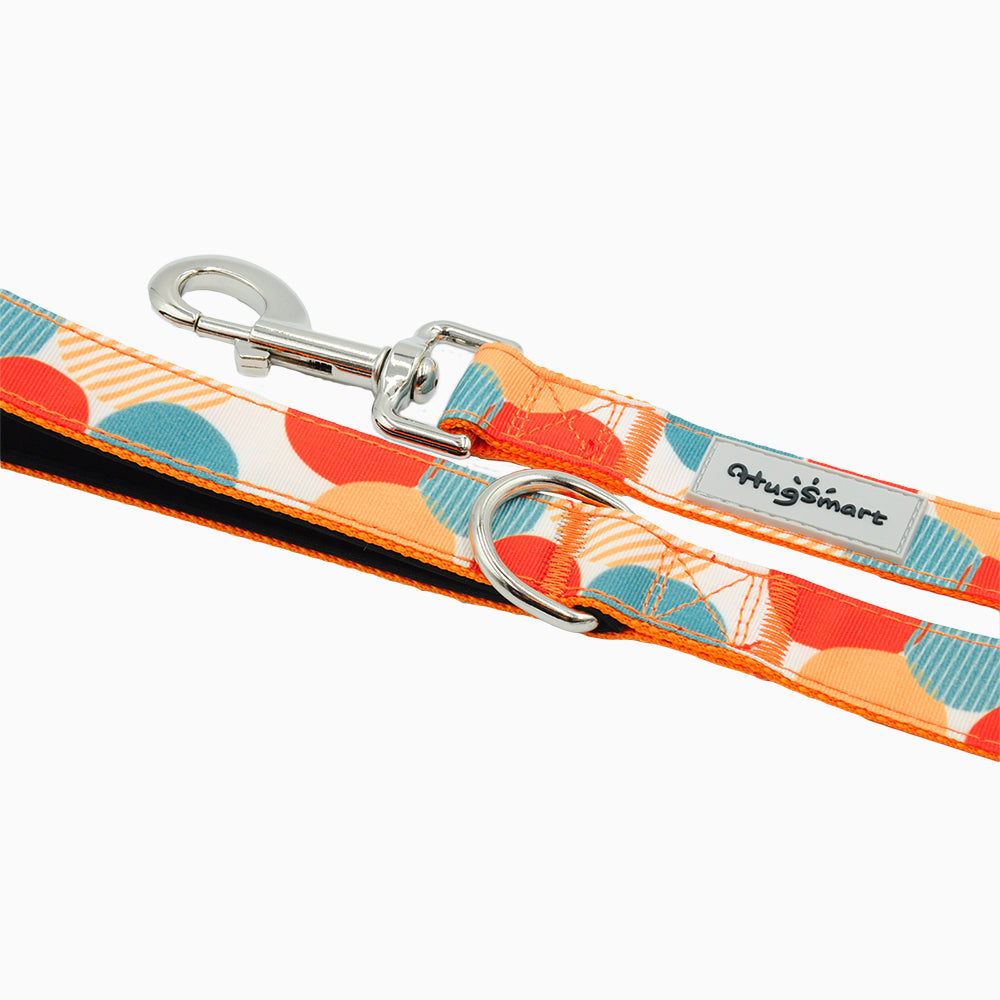 Dog Leash – Dancing Dots