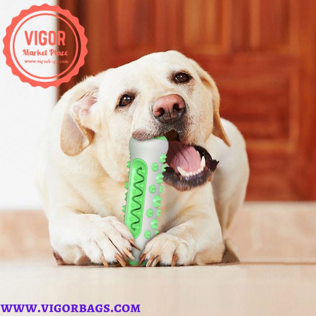 Dog Squeaky Bone Stick Toy Chew Toothbrush &amp; Grooming Brush - MOQ 10 Pcs