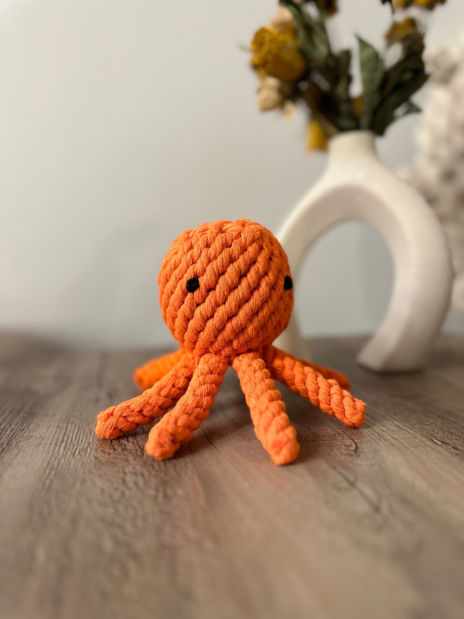 Eco-Octopus Family Chew Rope Toys For Pets(Kid)