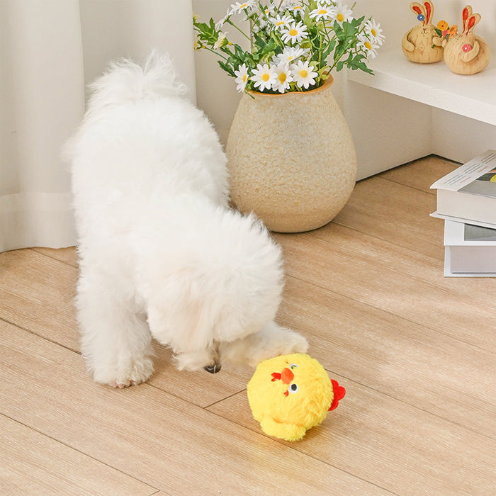 Farm Friendz – Chick