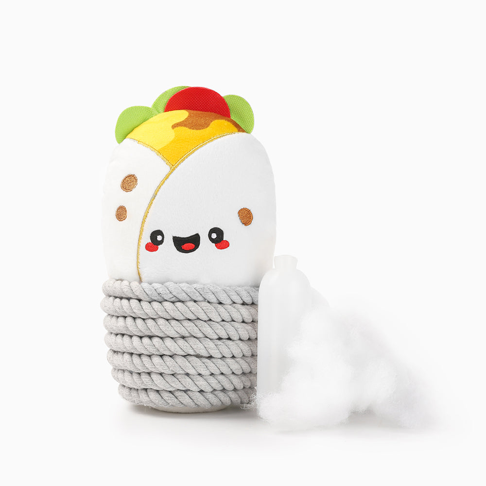 Fiesta Chewsday — Burrito