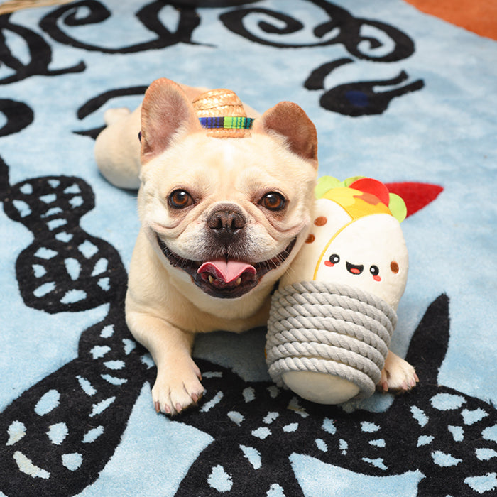 Fiesta Chewsday — Burrito