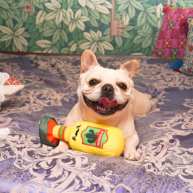 Fiesta Chewsday – Tequila