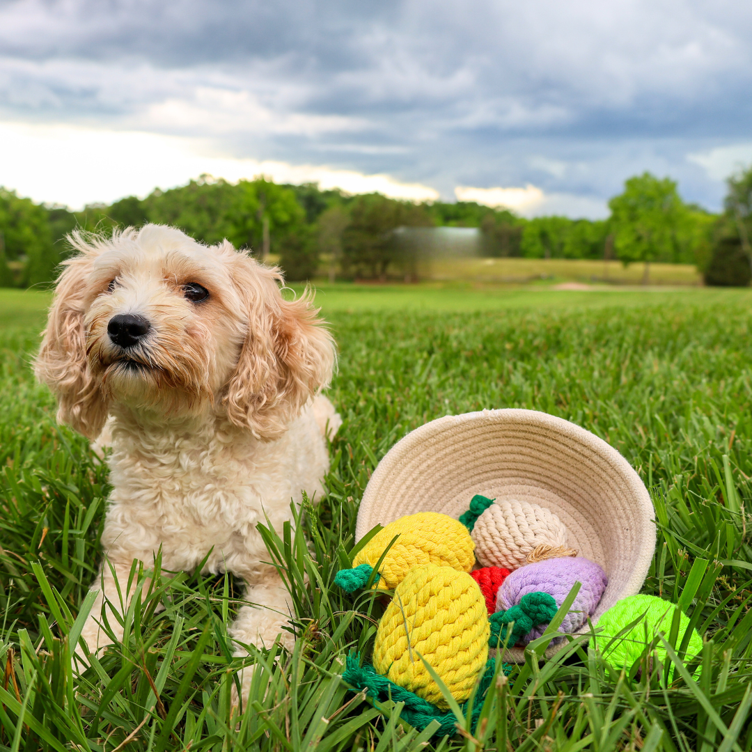 Handmade Strawberry Rope Toy