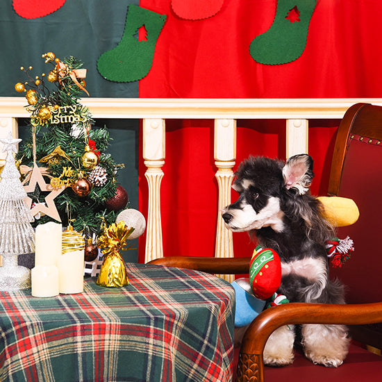 Happy Woofmas – Christmas Light