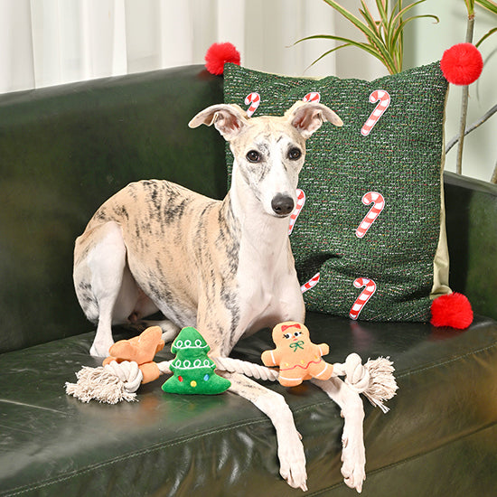Happy Woofmas – Holiday Gingerbread