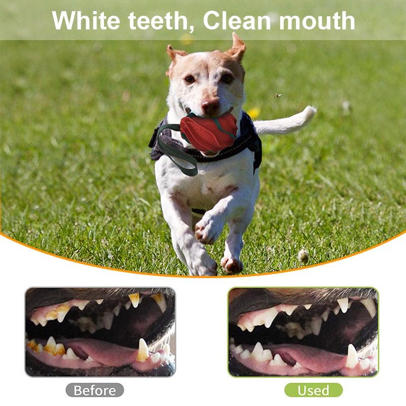 High Quality Indestructible Dog Toy Slow Treat Dispensing Interactive Toys for Small, Medium &amp; Large Breed(10 Pack)