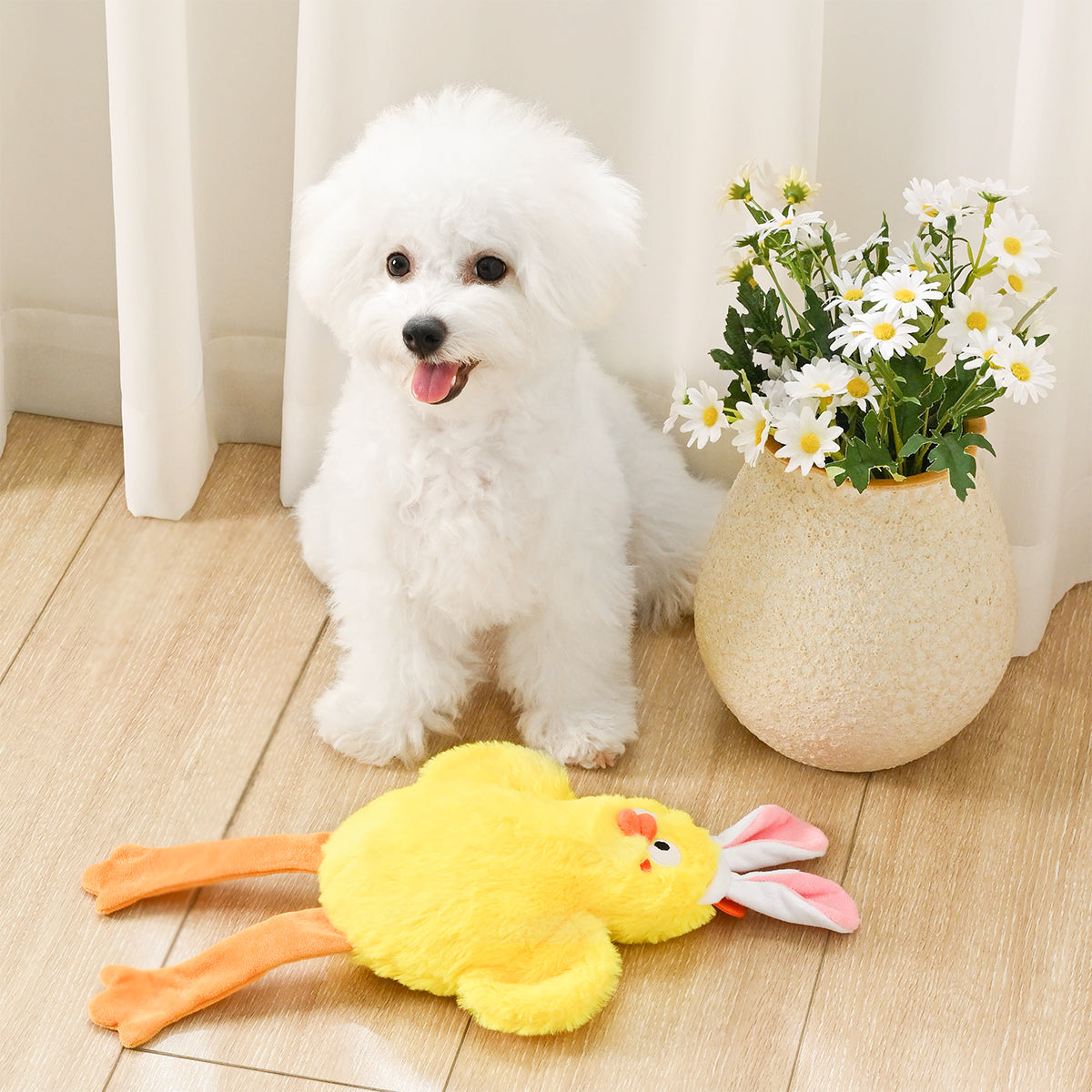 Hoppin' Easter – Easter Chick