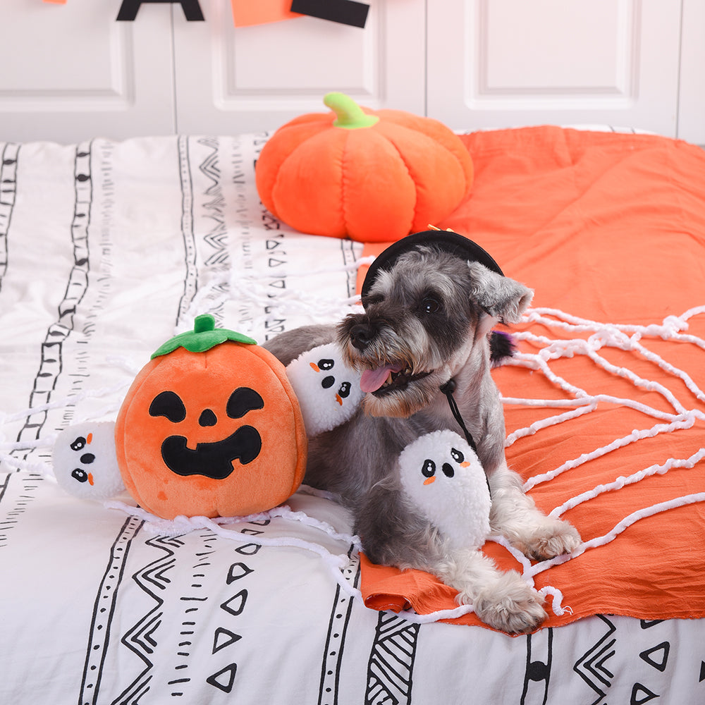 Howloween Night – Ghost Pumpkin