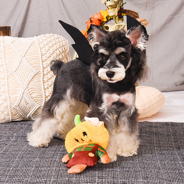 Howloween Night – Scarecrow