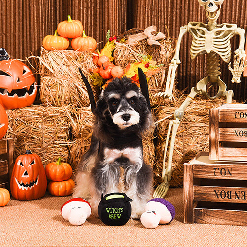 Howloween Night – Witches Brew