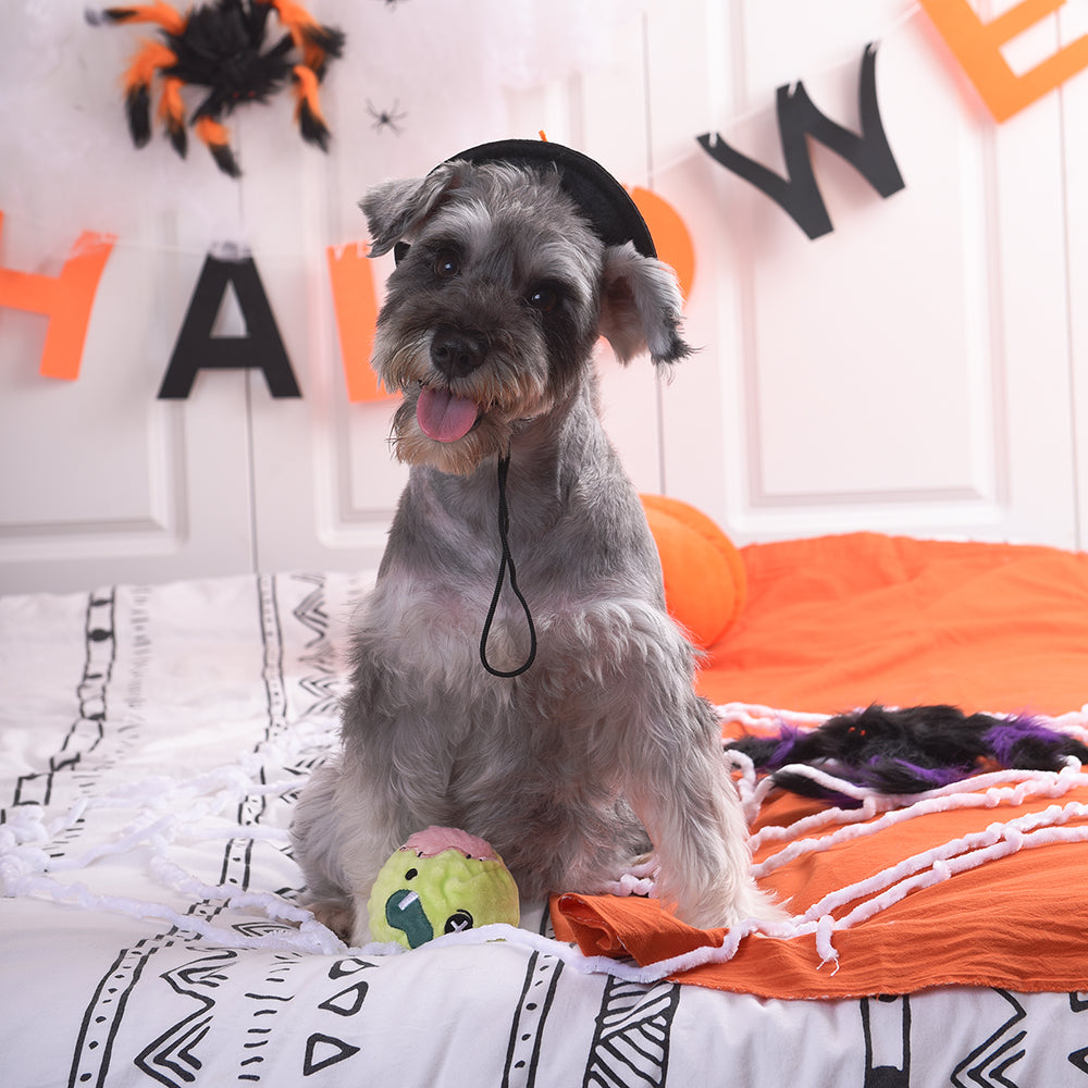 Howloween Night – Zombie
