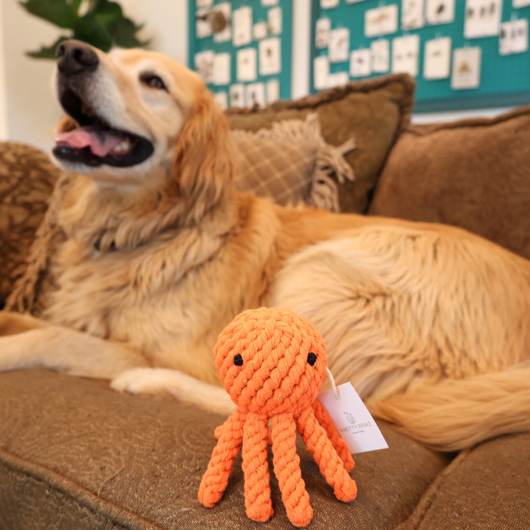 Kai the Octopus Rope Toy : New Version
