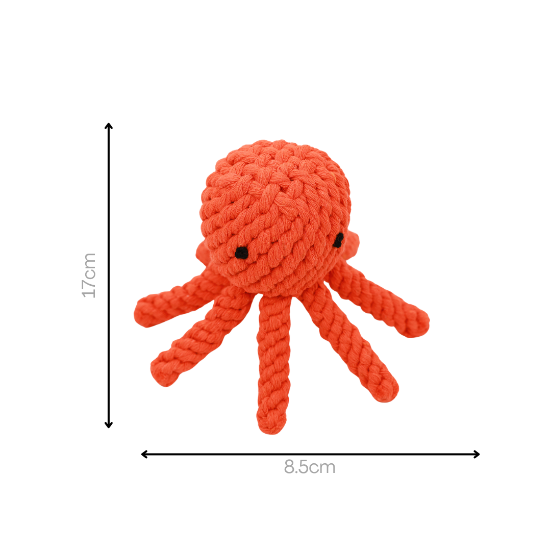 Kai the Octopus Rope Toy : New Version