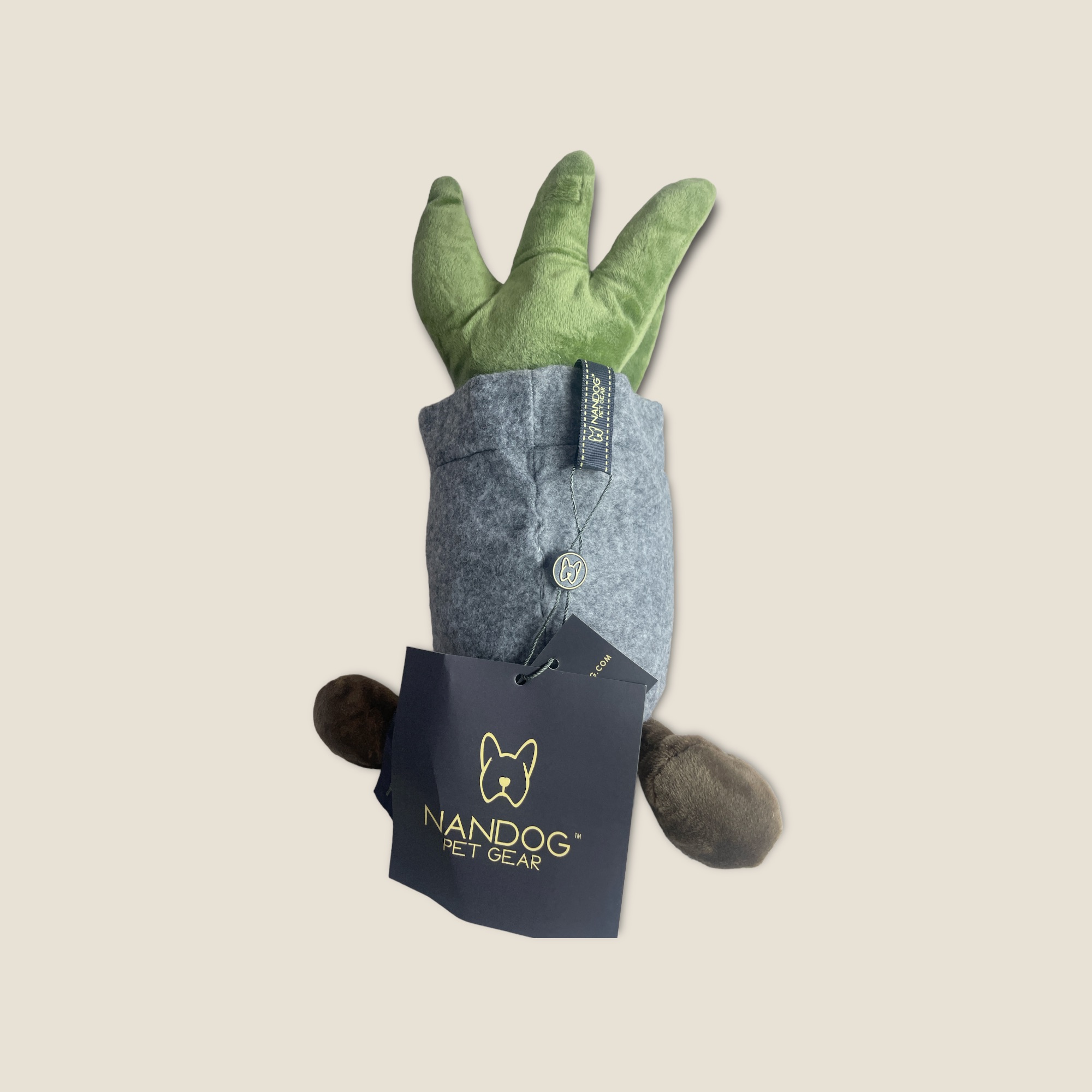 MY BFF SUCCULENT POT