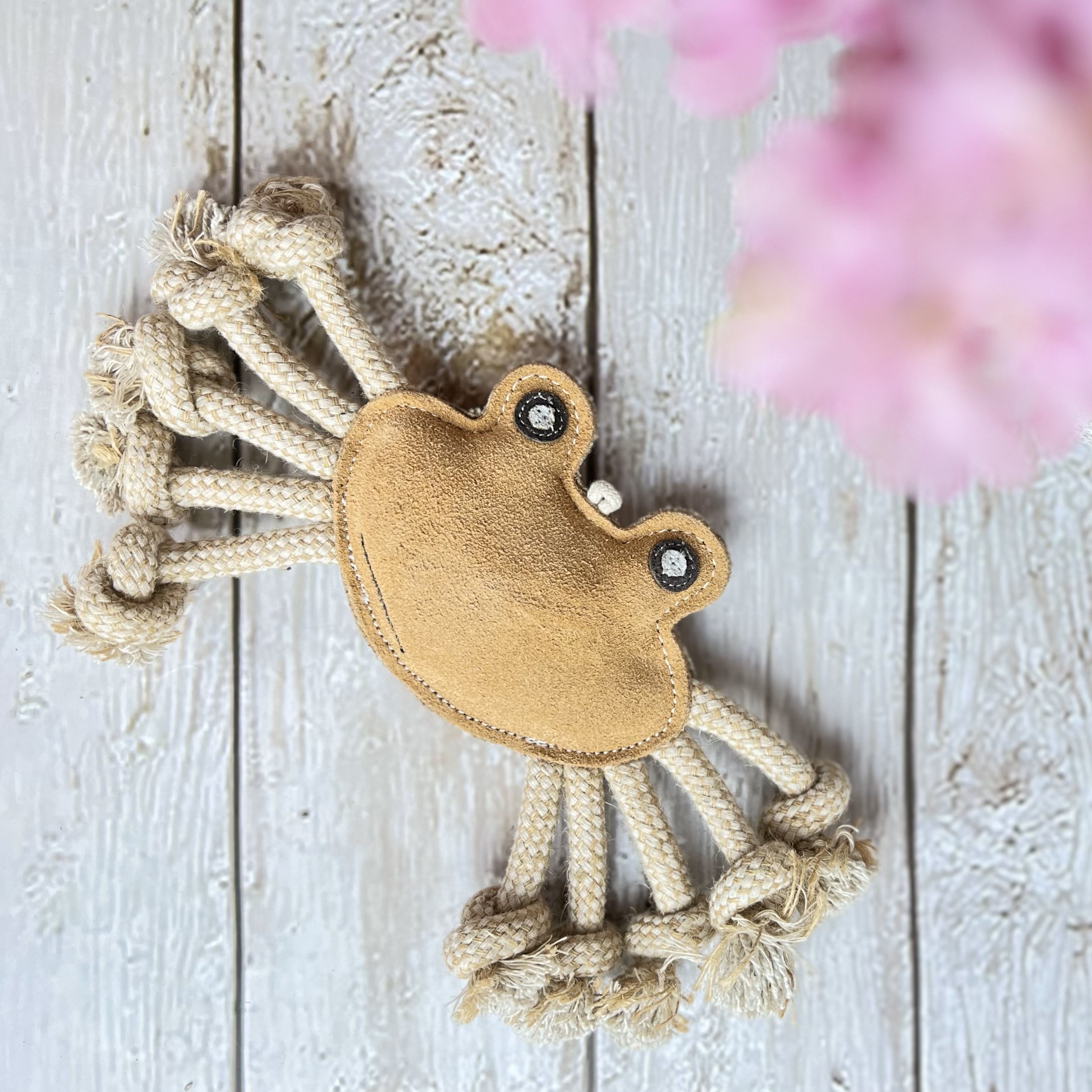 Natural toy for dogs CRAB with ROPES