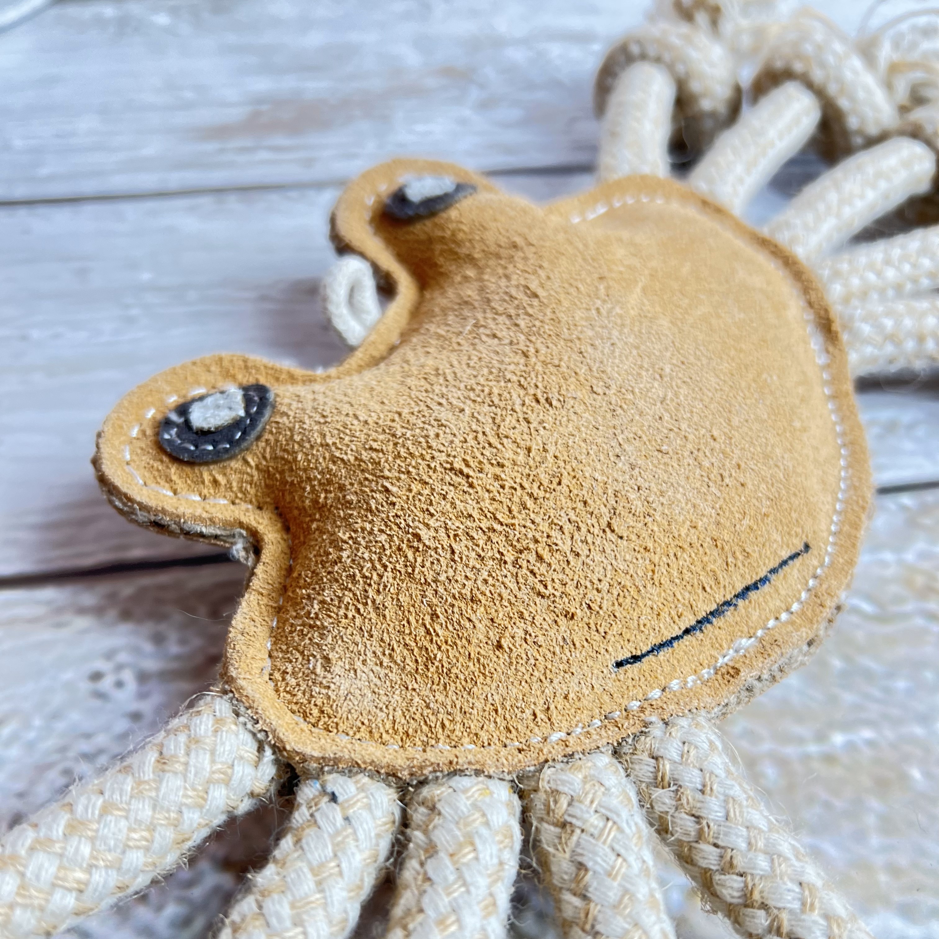 Natural toy for dogs CRAB with ROPES