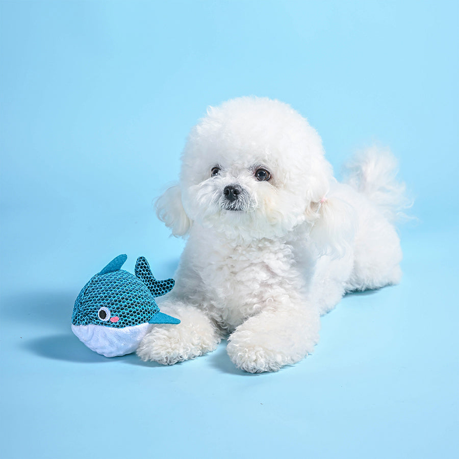 Ocean Pals – Dolphin