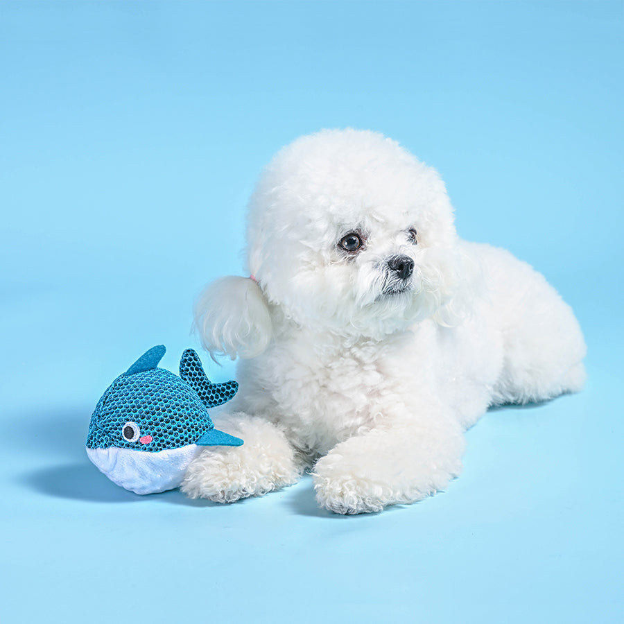 Ocean Pals – Dolphin