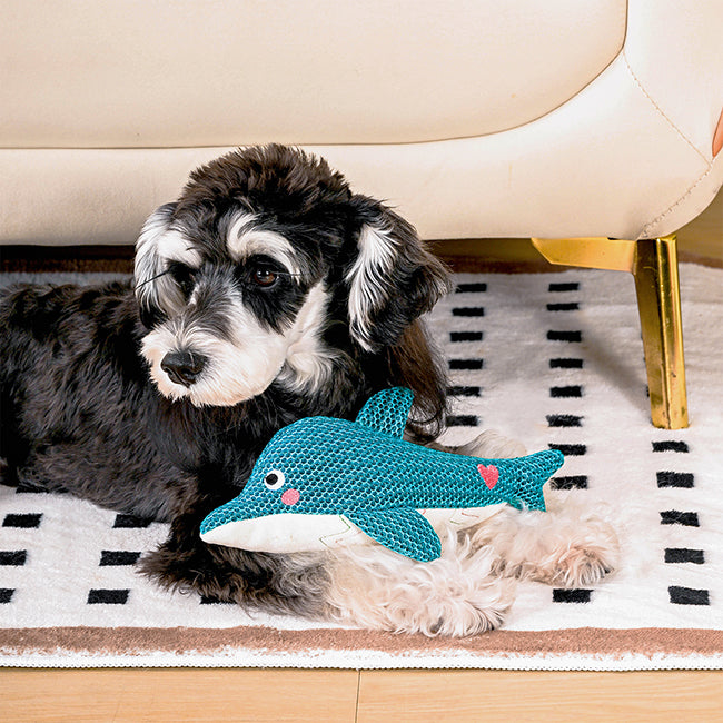 Ocean Pals – Dolphin