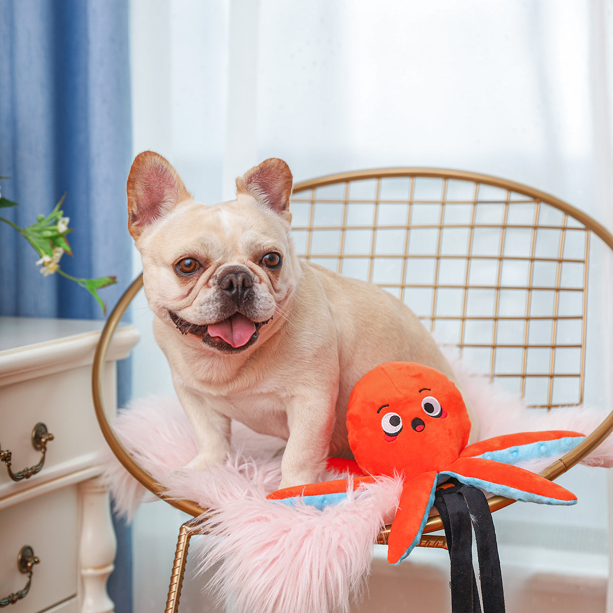 Ocean Pals – Octopus