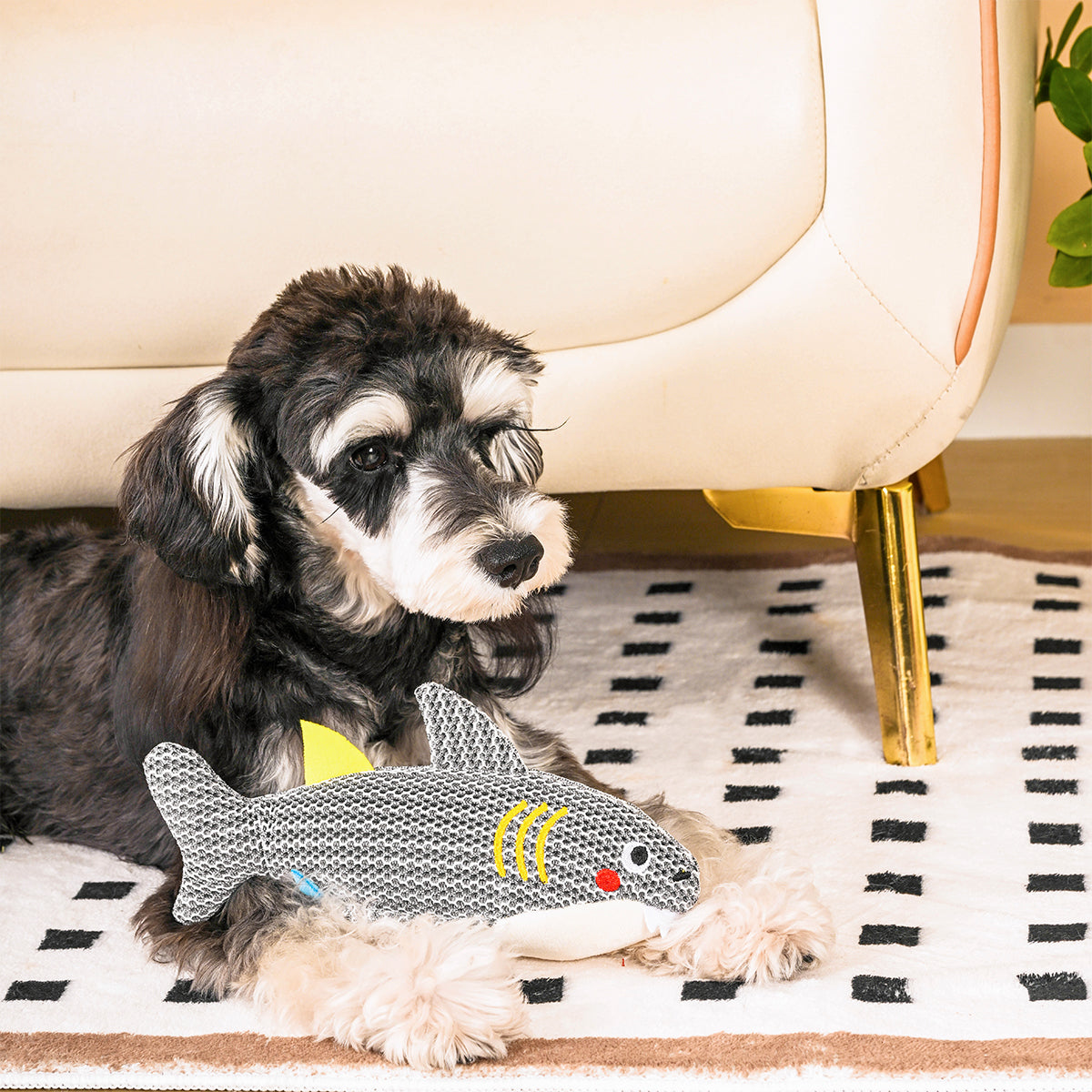 Ocean Pals – Shark