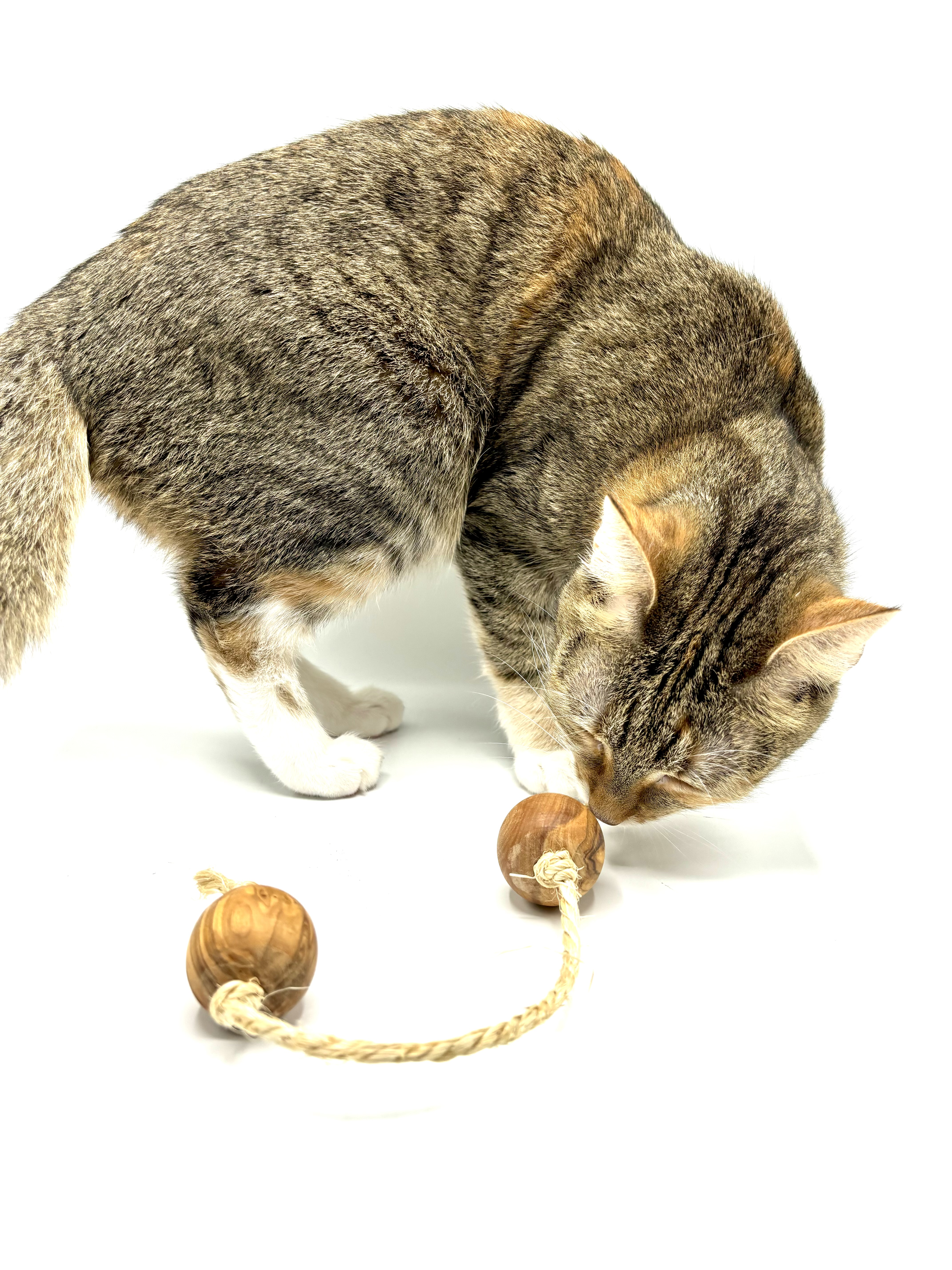Olive wood play balls with sisal for small dogs or cats