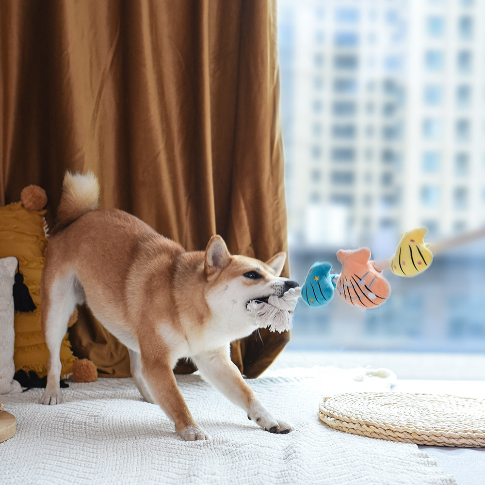 Pirate Pups – Shell Necklace