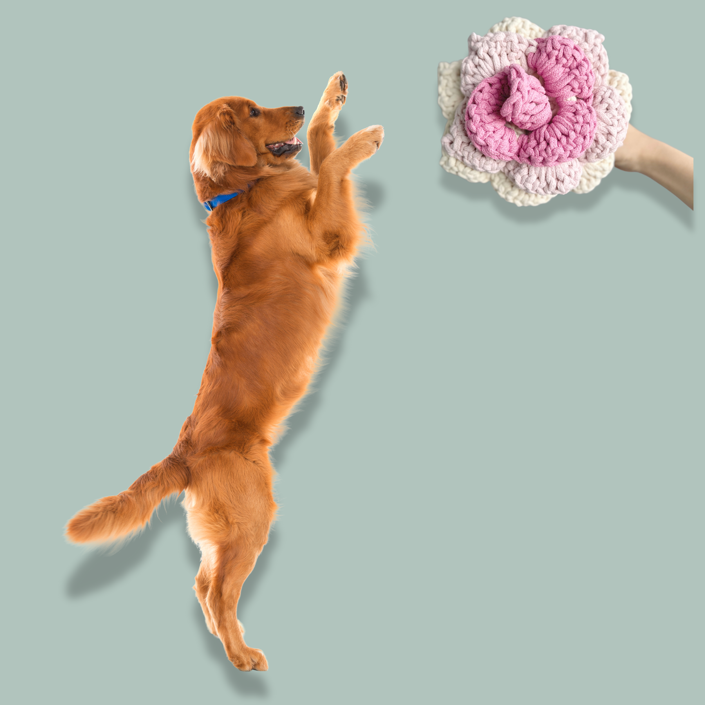 Prunus Blossom: Snuffle Flower Dog  Rope Toy | Handcrafted
