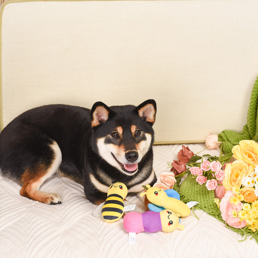 Puppy Garden – Little Insects