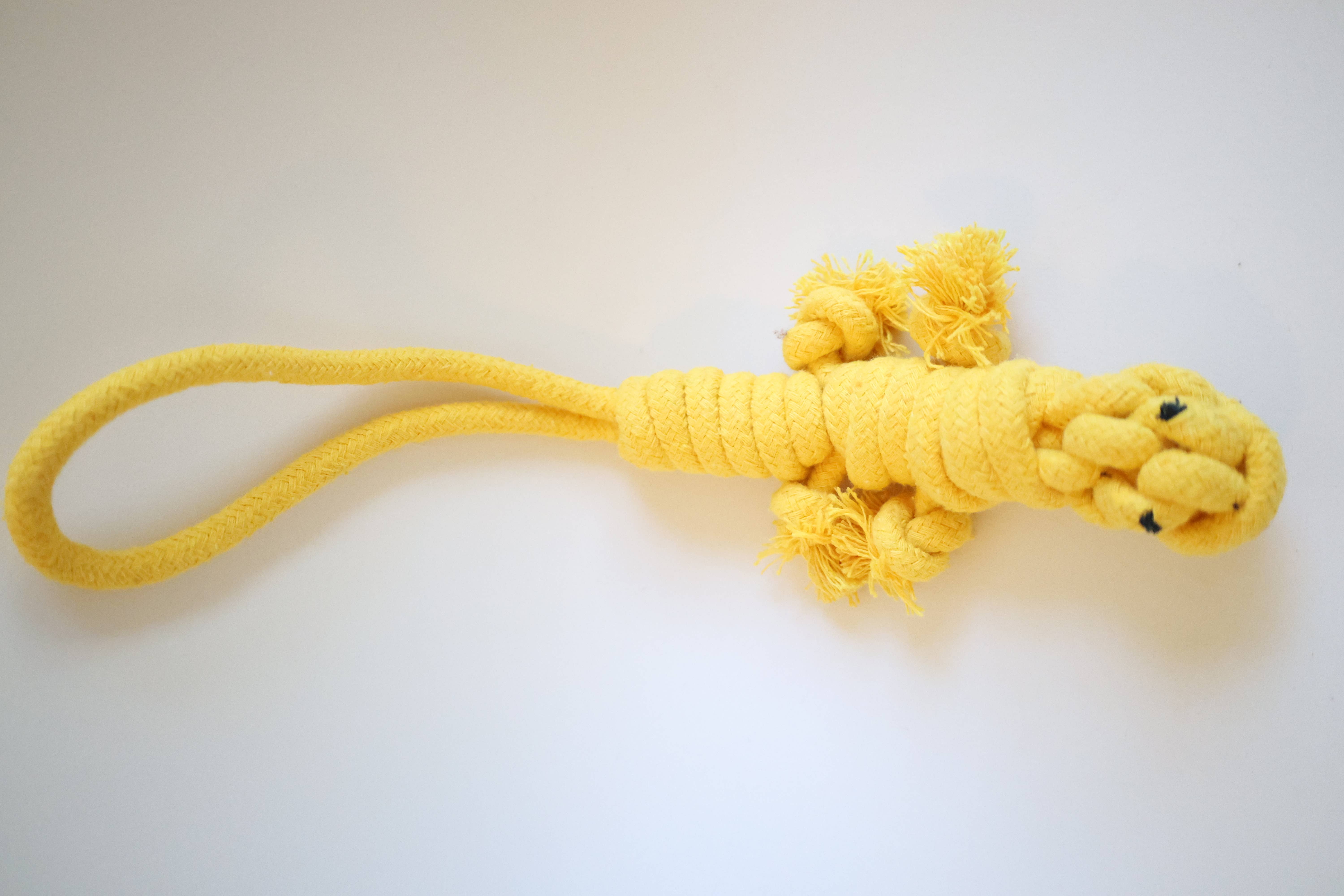 Rope Lizard Dog Tug War Toy