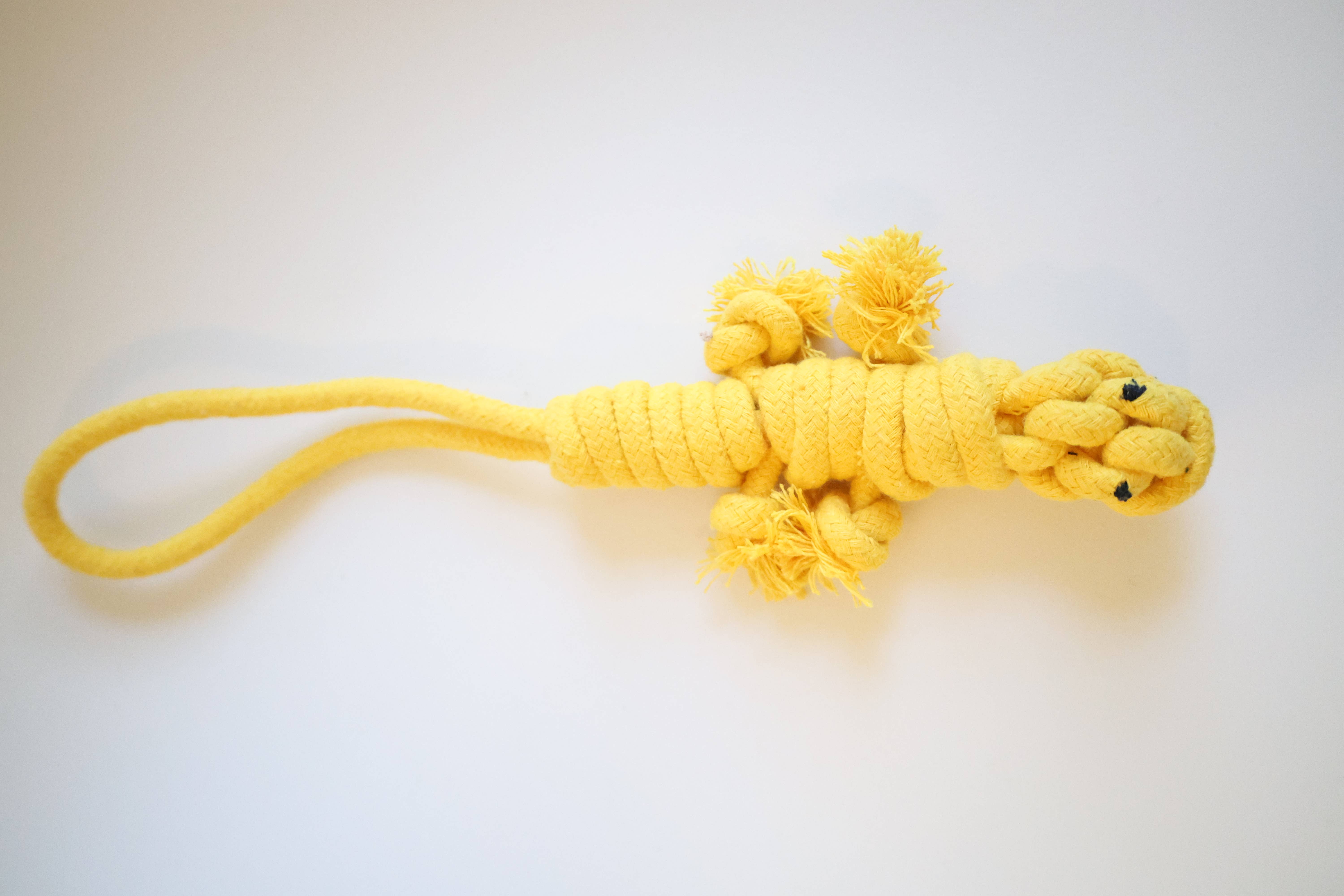 Rope Lizard Dog Tug War Toy