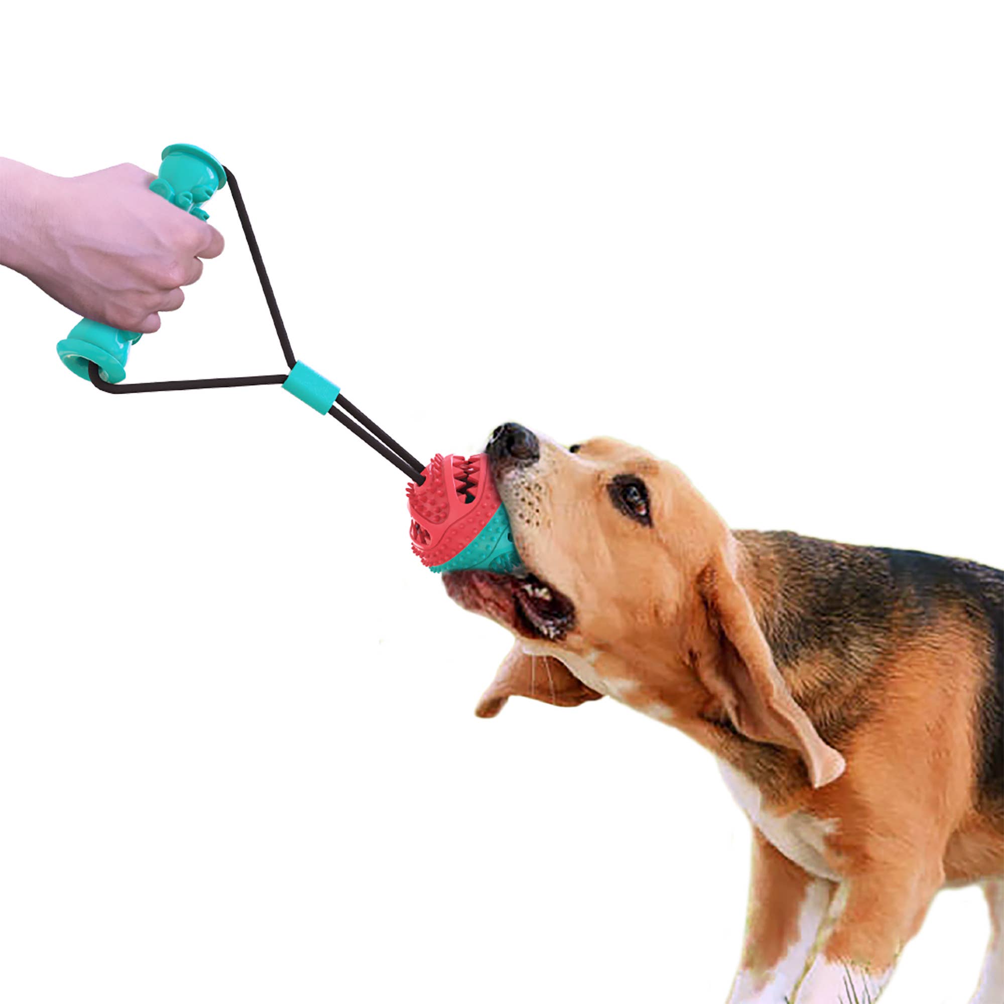 Ruff &amp; Ready Duo™ Chew &amp; Tug Toy