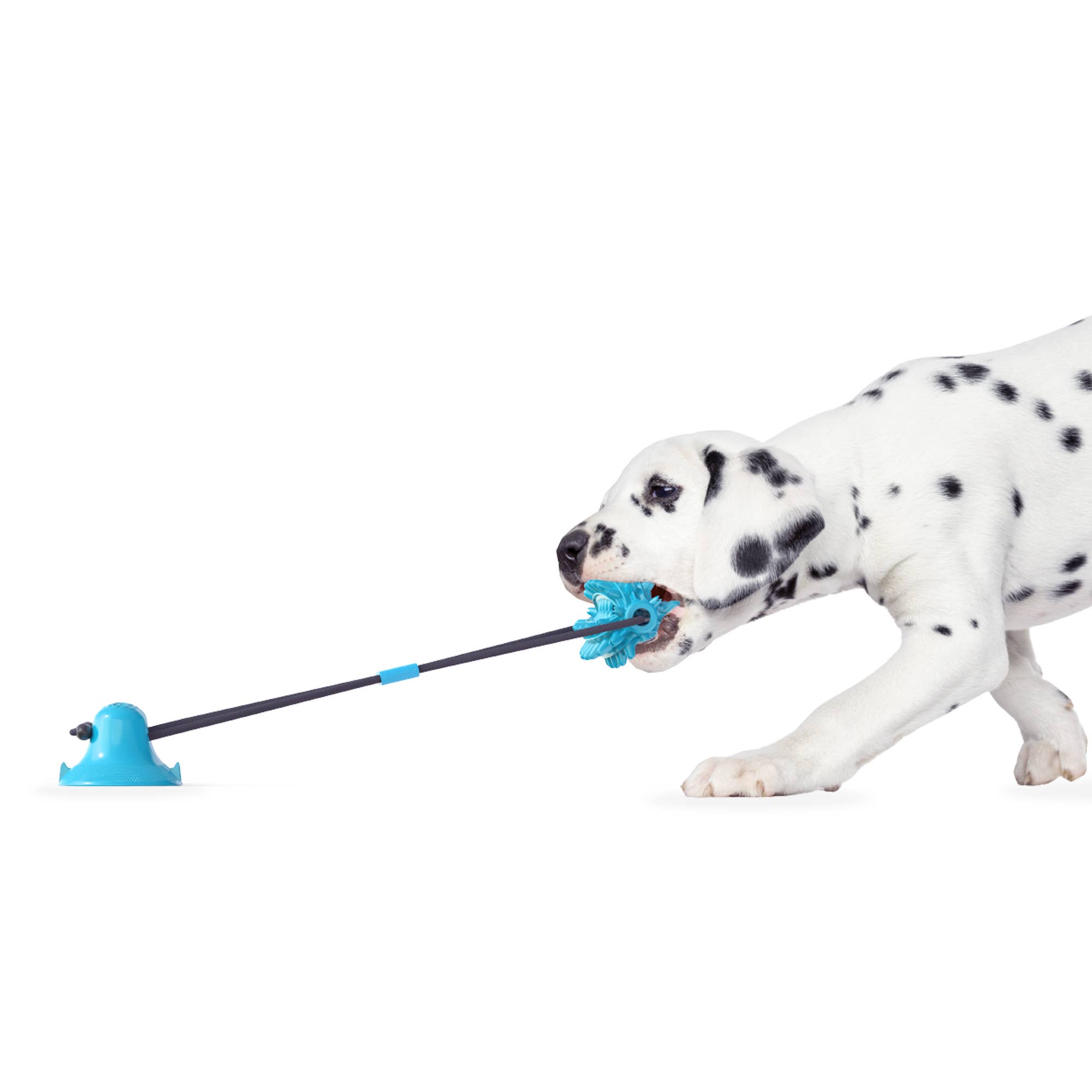 Ruff &amp; Ready Solo™ Chew &amp; Tug Toy