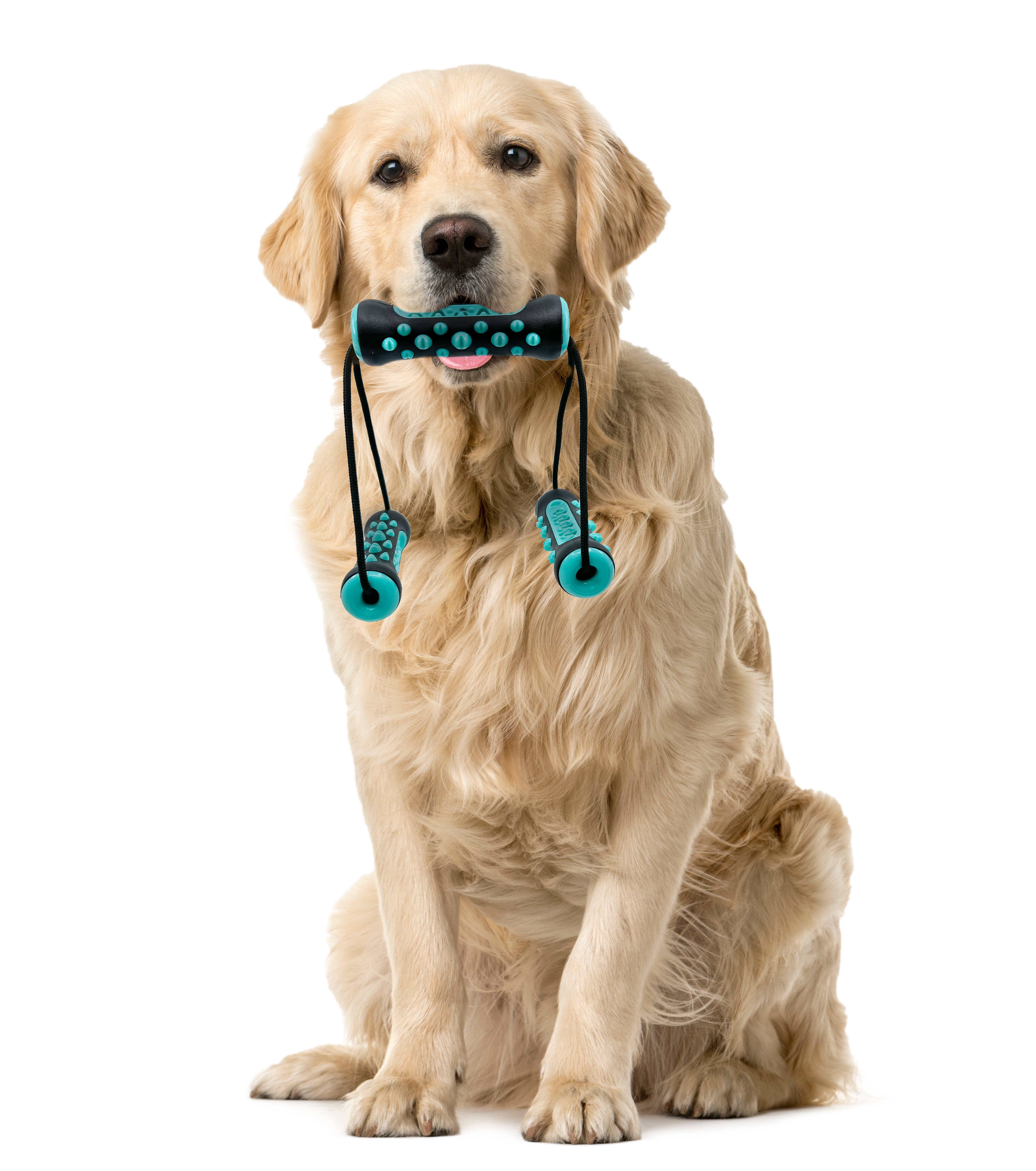 Ruff &amp; Ready Trio™ Chew &amp; Tug Toy