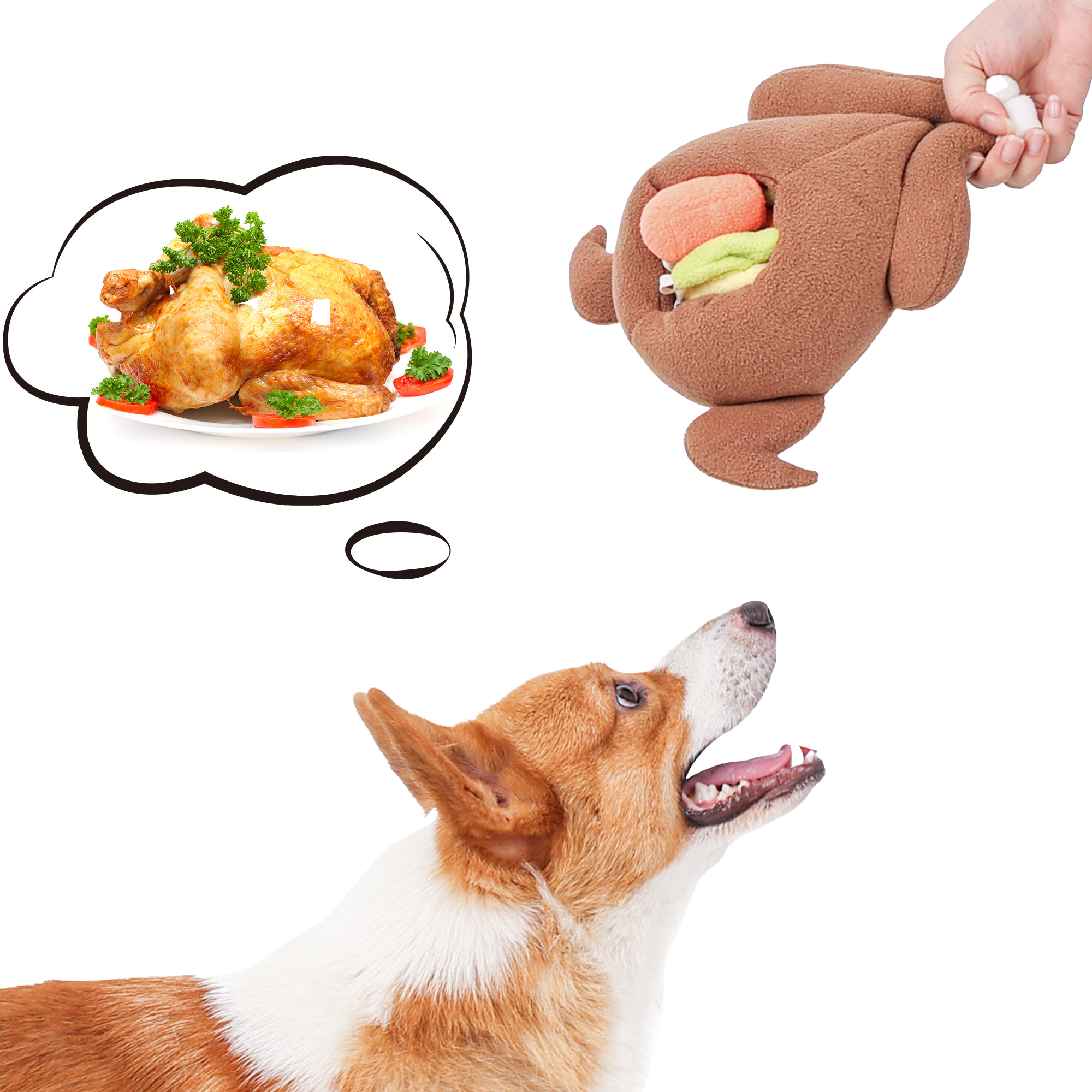 Snuffle Turkey - Interactive Dog Toy