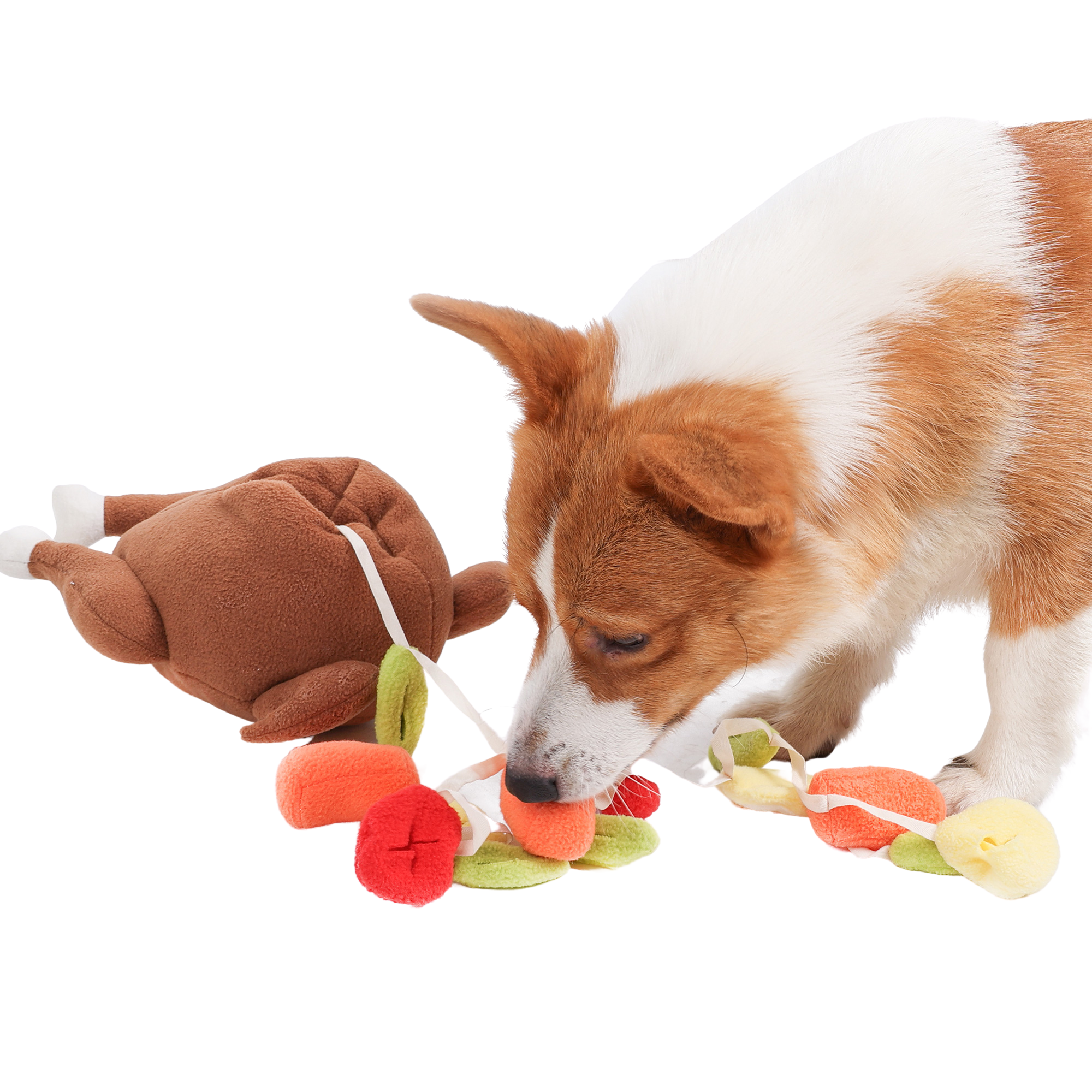 Snuffle Turkey - Interactive Dog Toy