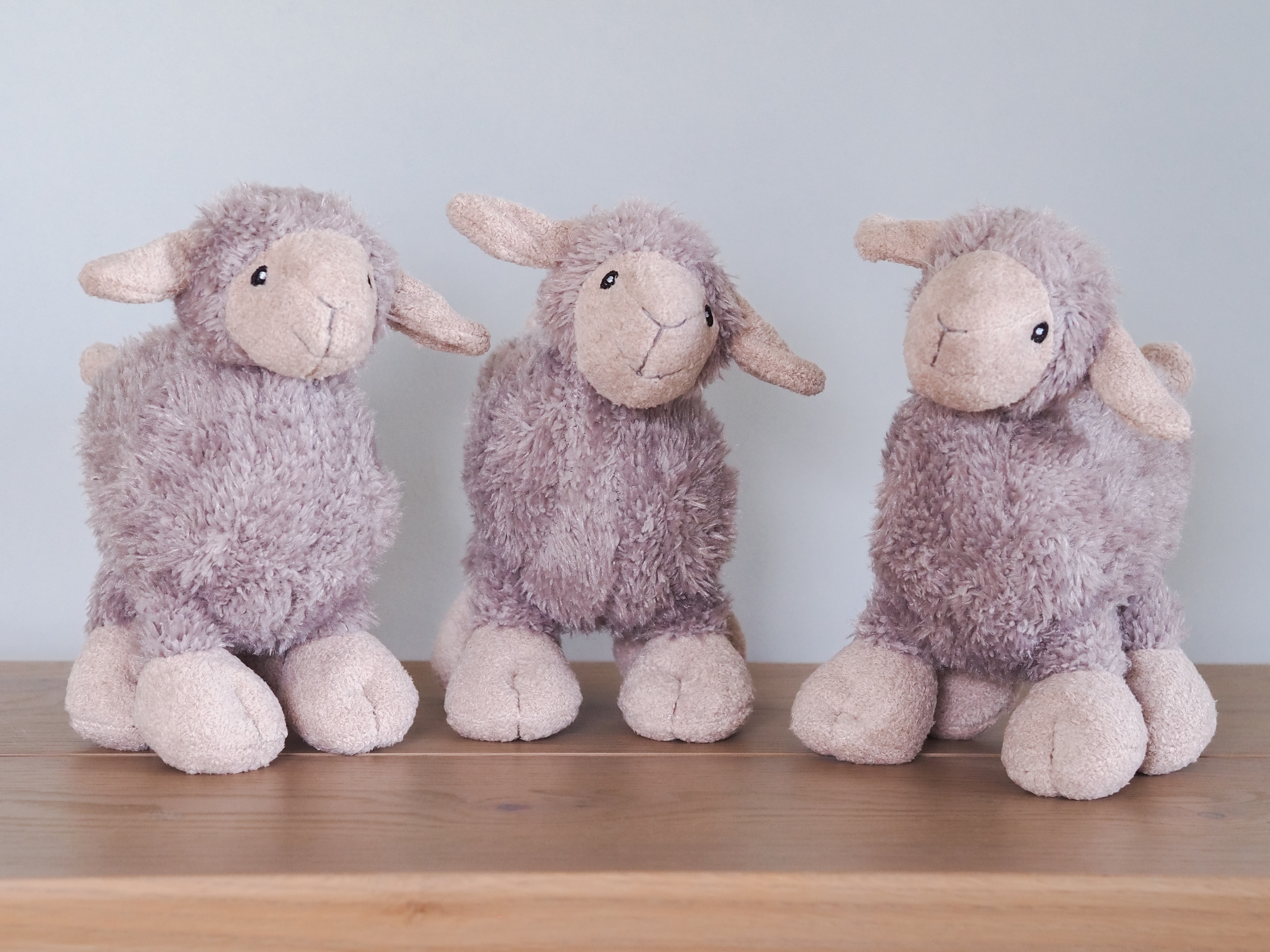 Squeaky Plush Luca Lamb Dog Toy