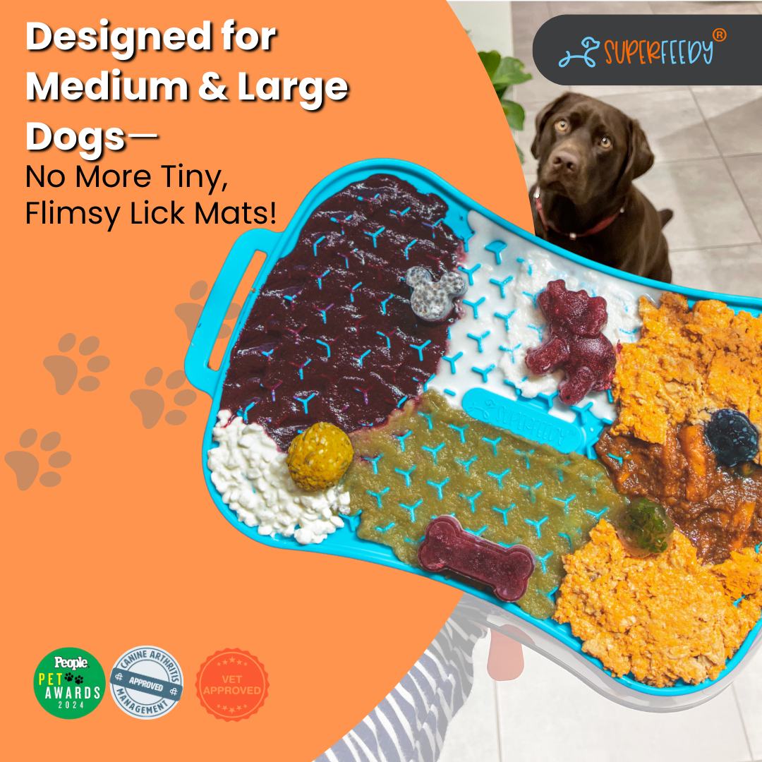 Super Feedy Marley Slowappy Reversible Lick Mat (Teal)