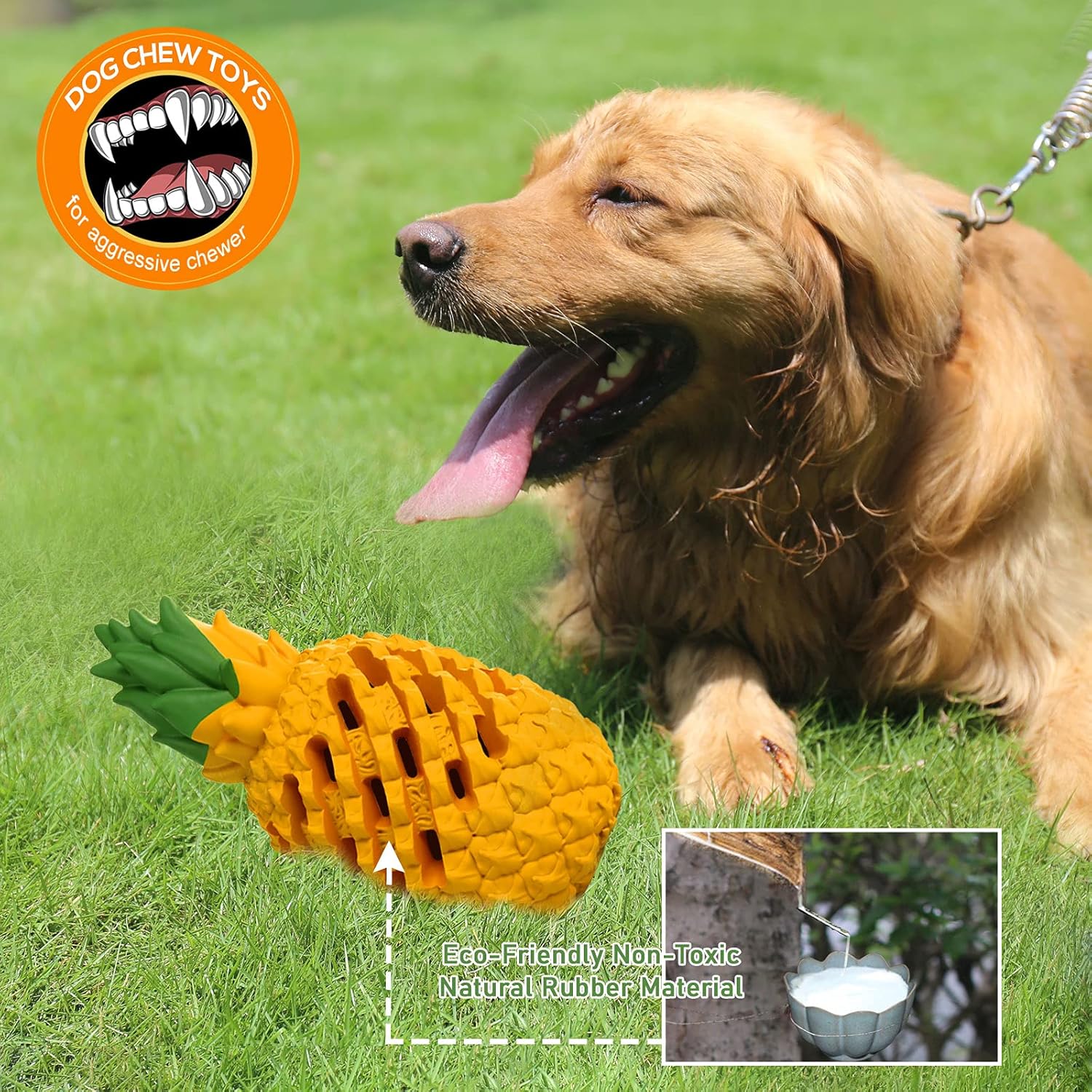 Tough Dog Puzzle Toys Treat Dispensing Durable Dog Toys Teeth Clean (10 Pack)