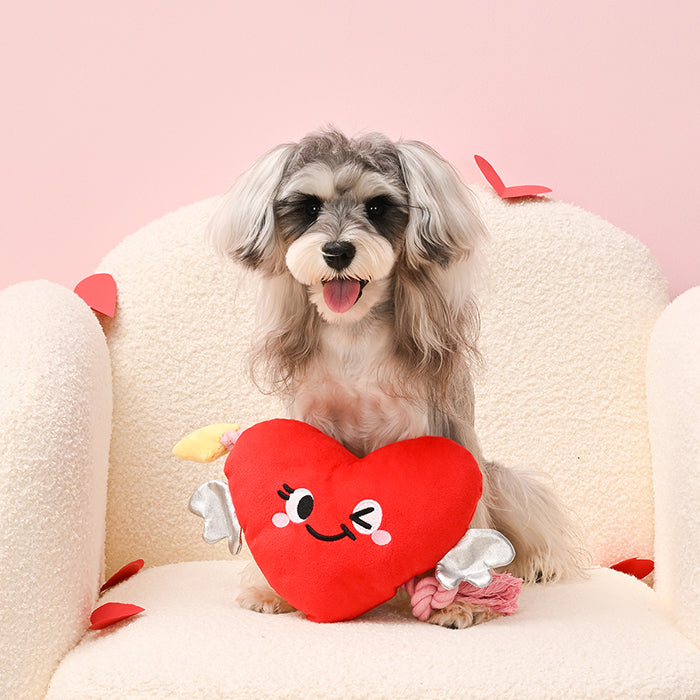 Woof Love – Heart &amp; Arrow