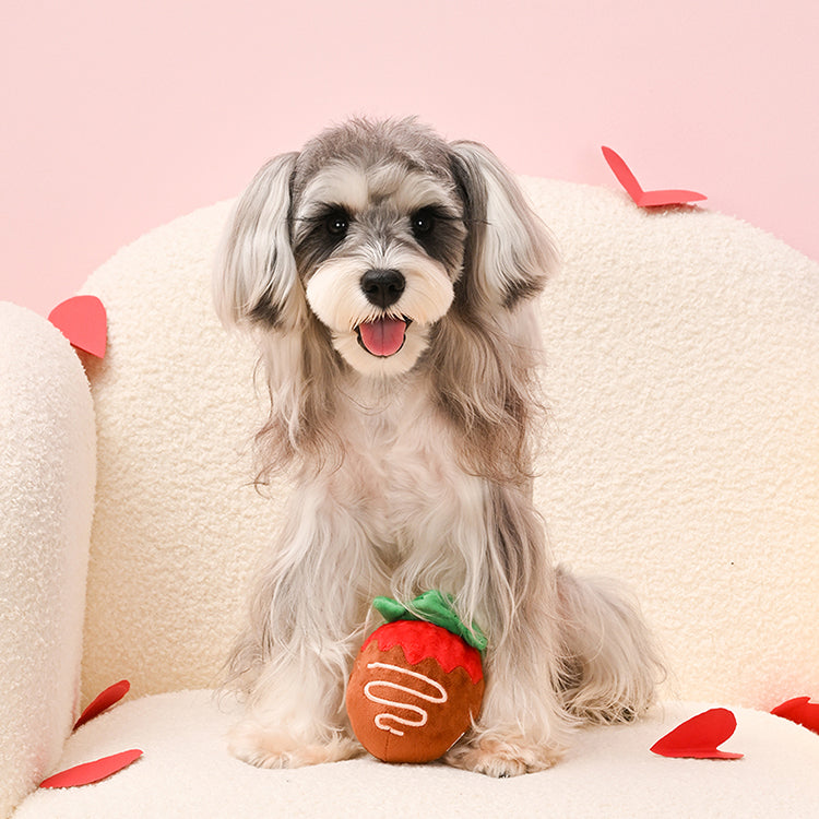 Woof Love – Strawberry Chocolate
