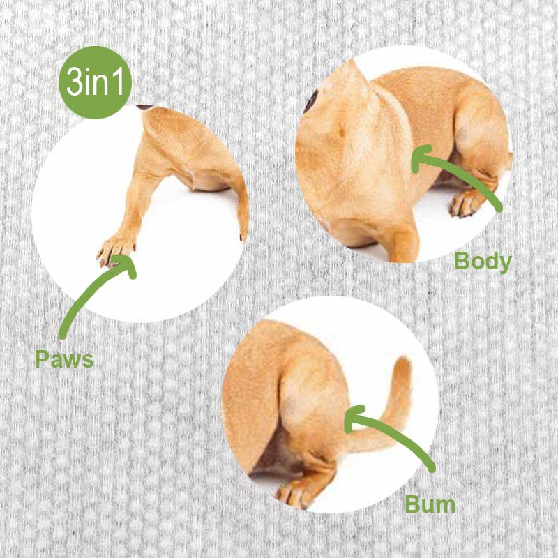 Pet Dog Wipes Travel Pack Eco-Friendly Hypoallergenic x 20
