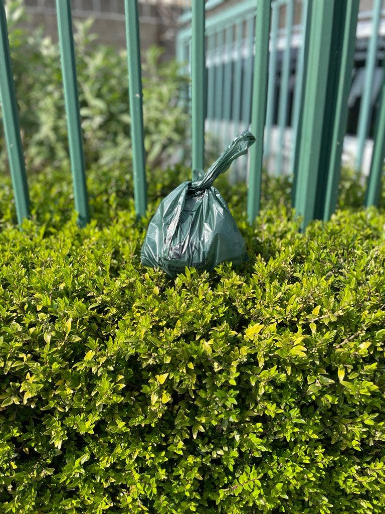 Poo Bio Bags Biodegradable Dog Poop Bags Waste Bags x 500